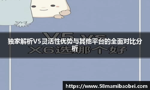 独家解析V5灵活性优势与其他平台的全面对比分析